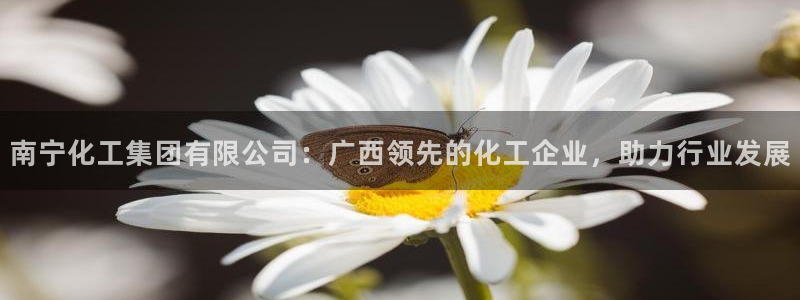 球盟会几点玩合适