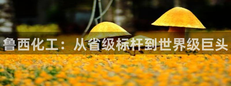 球盟会体育app官方网站