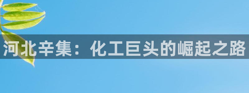 球盟会里面有打牌的嘛是真的吗