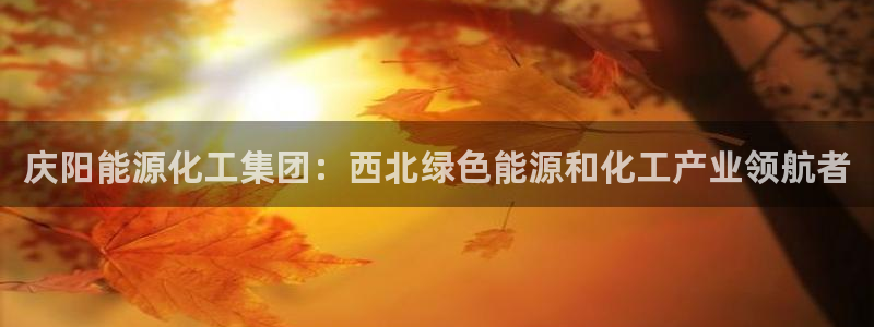 球盟会游戏：庆阳能源化工集团：西北绿色能源和化工产业领航者