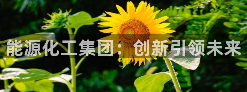 球盟会黑嘛：能源化工集团：创新引领未来