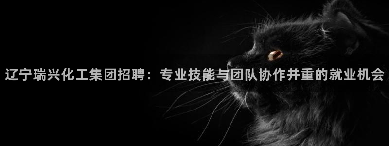 球盟会官网app下载：辽宁瑞兴化工集团招聘：专业技能与团队协