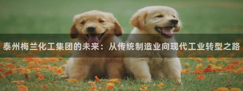 球盟会国际官网：泰州梅兰化工集团的未来：从传统制造业向现代工