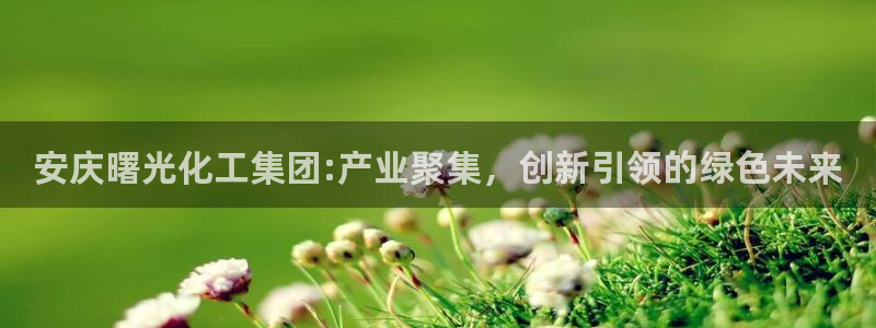球盟会电子好下吗：安庆曙光化工集团:产业聚集，创新引领的绿色