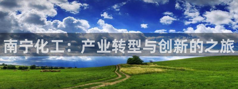 球盟会类似的网站：南宁化工：产业转型与创新的之旅