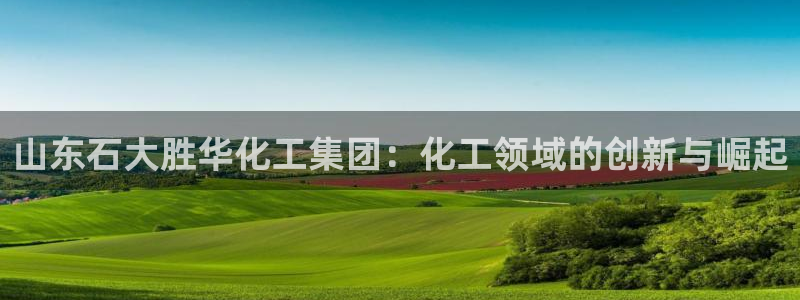 球盟会登陆入口：山东石大胜华化工集团：化工领域的创新与崛起