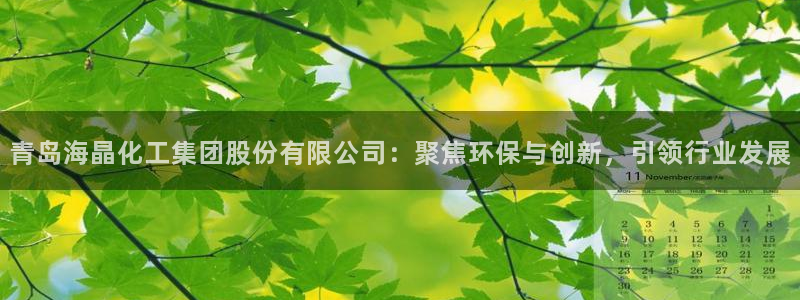 球盟会最新：青岛海晶化工集团股份有限公司：聚焦环保与创新，引