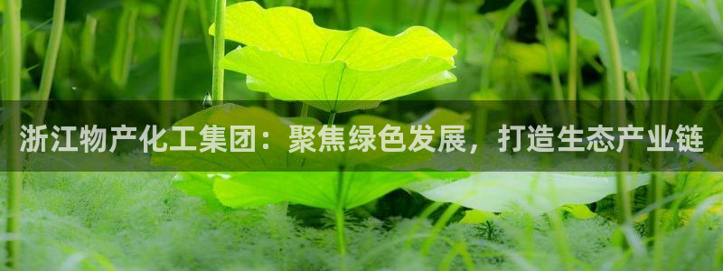 球盟会网页登录app下载地址：浙江物产化工集团：聚焦绿色发展