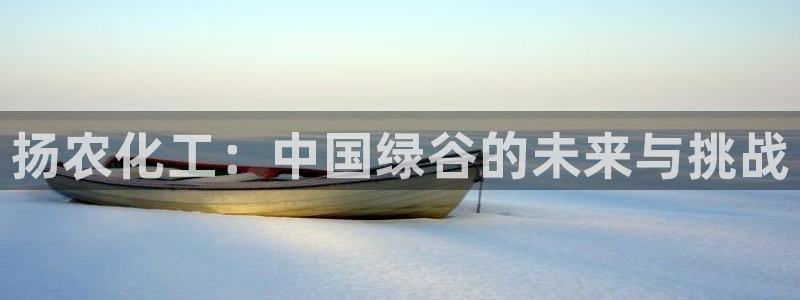 球盟会头号玩家：扬农化工：中国绿谷的未来与挑战