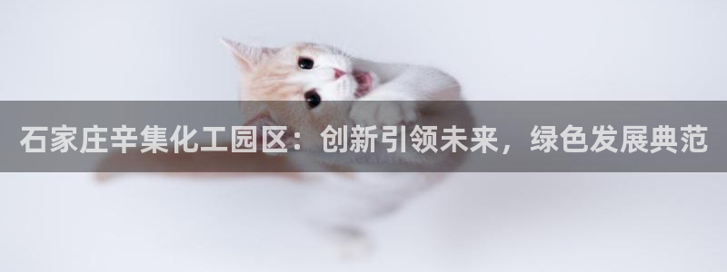 球盟会在线登录：石家庄辛集化工园区：创新引领未来，绿色发展典