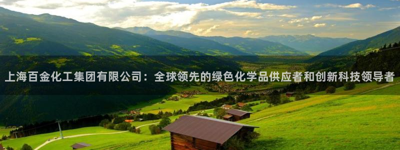 球盟会官方：上海百金化工集团有限公司：全球领先的绿色化学品供