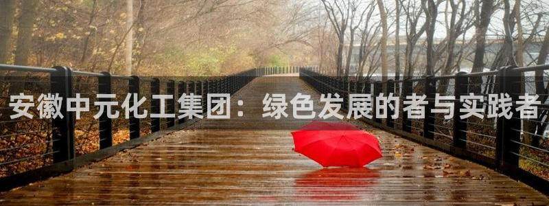 球盟会封禁：安徽中元化工集团：绿色发展的