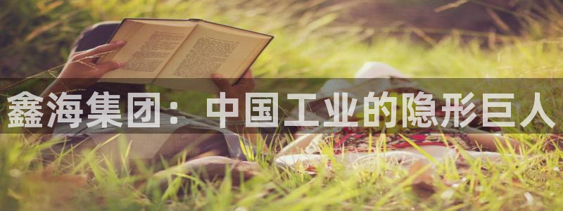 球盟会官方入口：鑫海集团：中国工业的隐形巨人
