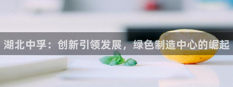 球盟会黑款吗：湖北中孚：创新引领发展，绿
