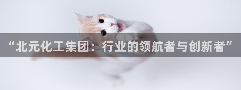 球盟会黑款吗知乎小说：“北元化工集团：行业的领航者与创新者”