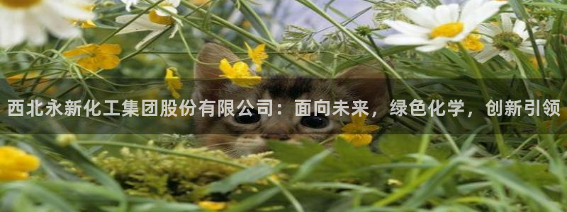 球盟会体验金：西北永新化工集团股份有限公司：面向未来，绿色化