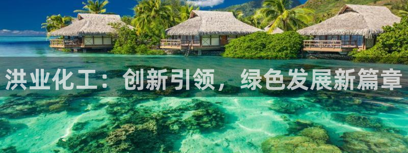 球盟会吧：洪业化工：创新引领，绿色发展新篇章