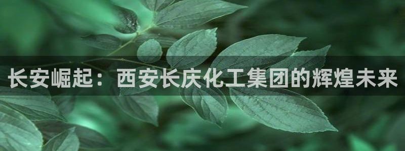 球盟会：长安崛起：西安长庆化工集团的辉煌未来