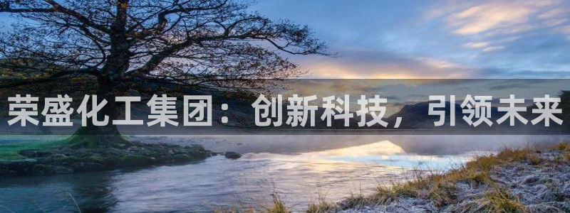 球盟会官网网页版：荣盛化工集团：创新科技，引领未来