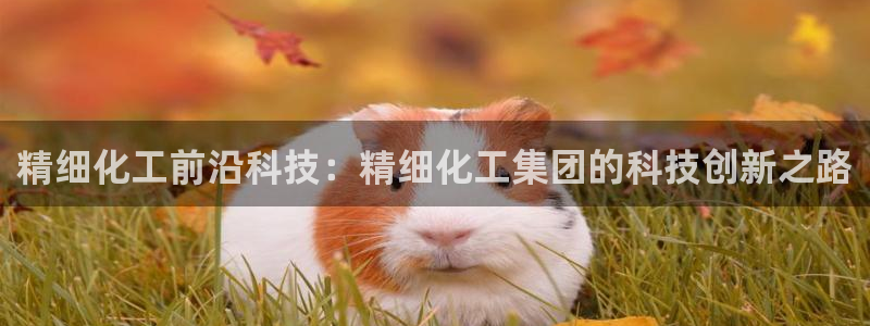 球盟会有限公司怎么样：精细化工前沿科技：精细化工集团的科技创