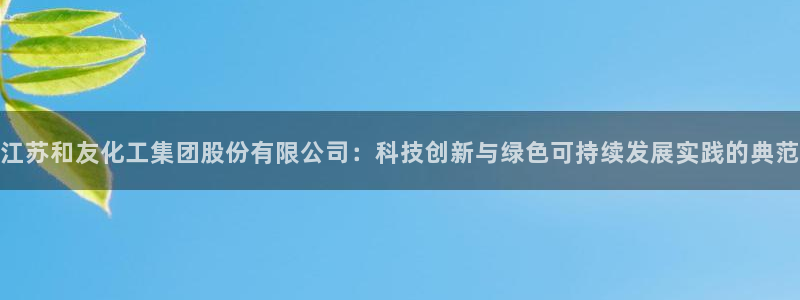 球盟会app入口：江苏和友化工集团股份有限公司：科技创新与绿