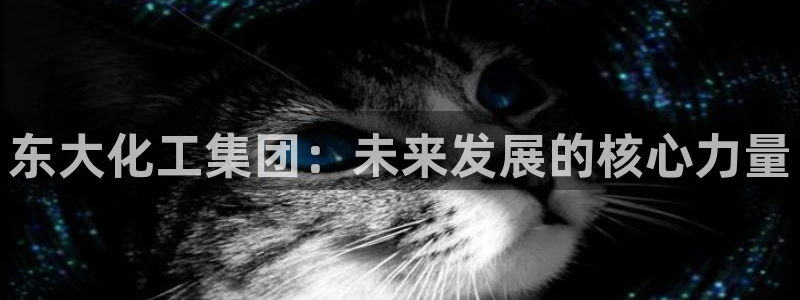 球盟会中国官方网站：东大化工集团：未来发展的核心力量