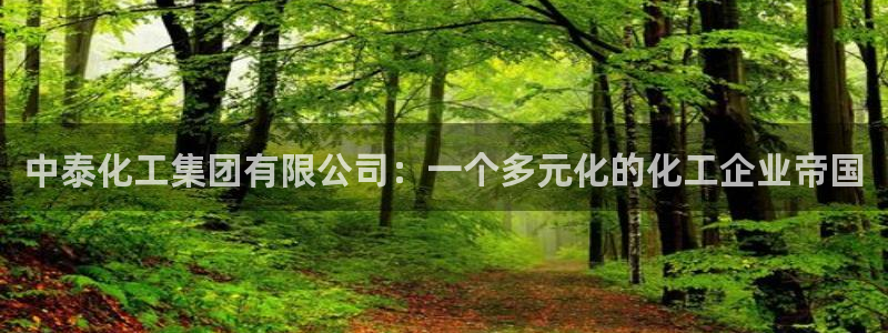 球盟会网址多少