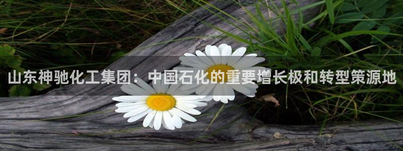 球盟会qmh网址