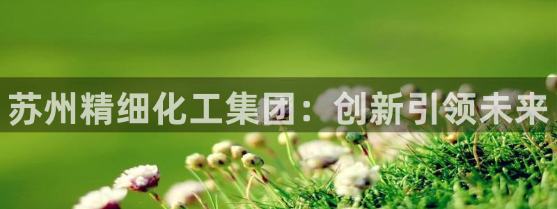 球盟会官方：苏州精细化工集团：创新引领未