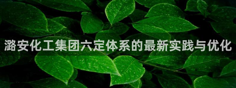 球盟会可以提现么