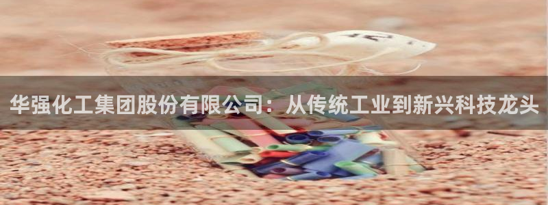 球盟会网址：华强化工集团股份有限公司：从