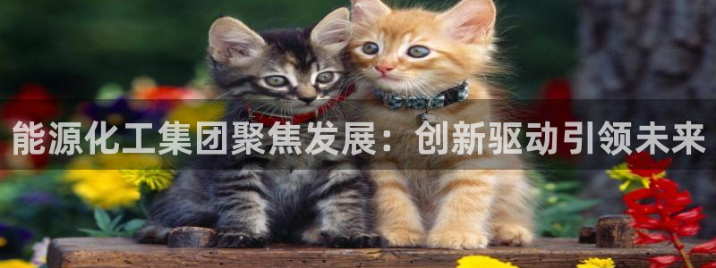 球盟会官方网页登录：能源化工集团聚焦发展