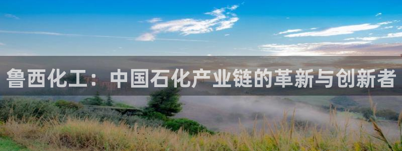 球盟会登陆：鲁西化工：中国石化产业链的革新与创新者