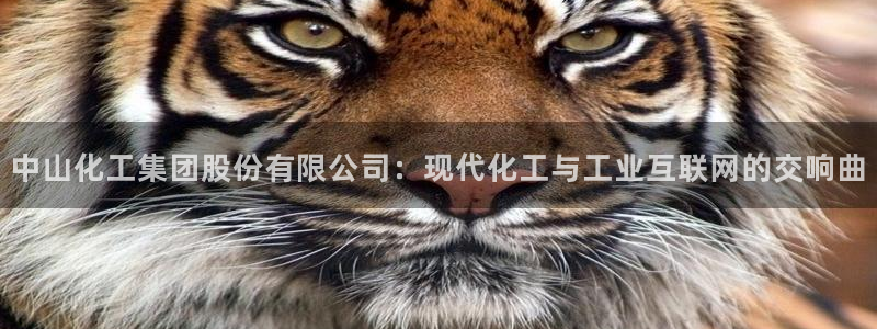 球盟会qmh - 球盟会官方网站：中山化工集团股份有限公司：