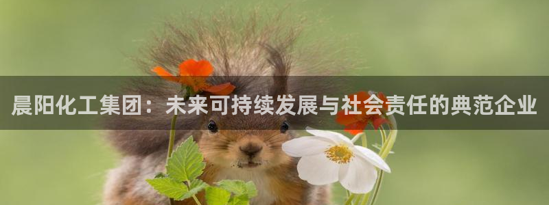 球盟会用的客服聊天是哪个软件：晨阳化工集团：未来可持续发展与