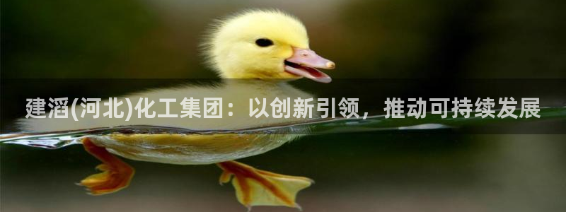 球盟会登陆