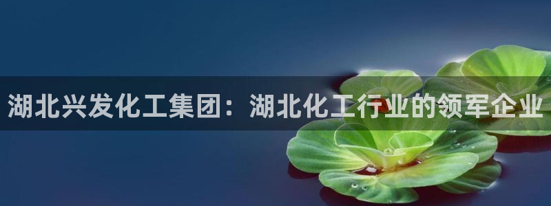 球盟会app手机登录：湖北兴发化工集团：湖北化工行业的领军企