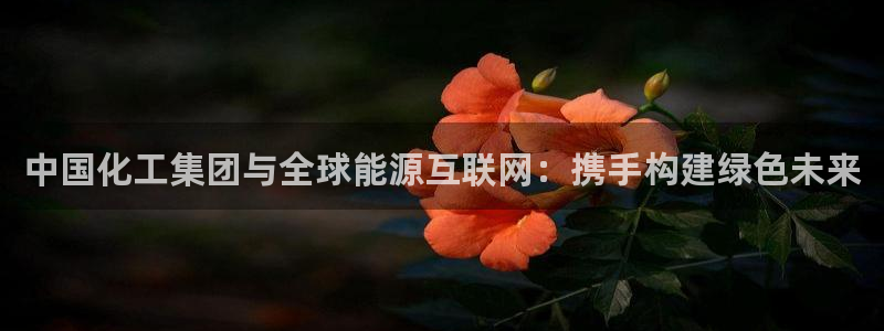 球盟会官方网入口