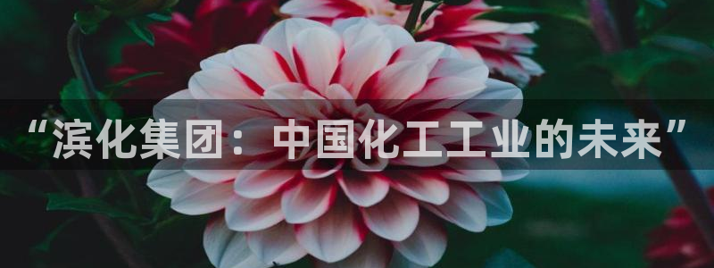 球盟会在线网站