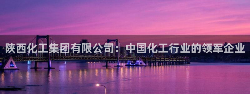 球盟会入口