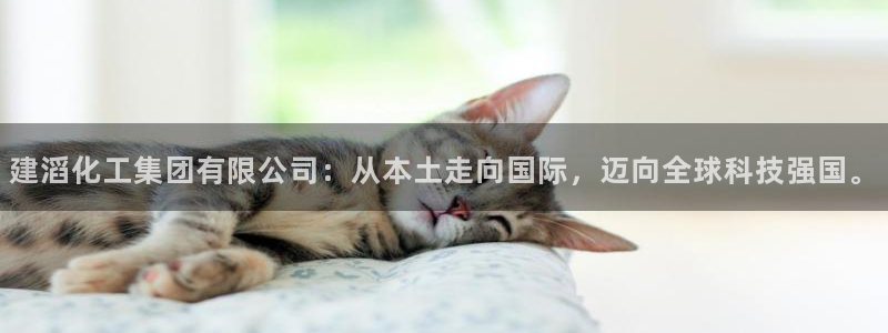 球盟会登陆入口