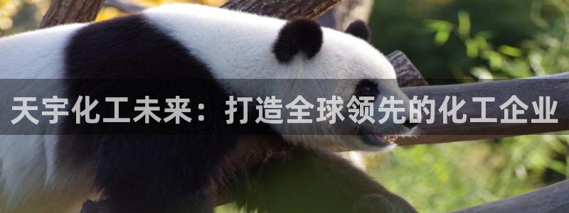 球盟会最新：天宇化工未来：打造全球领先的