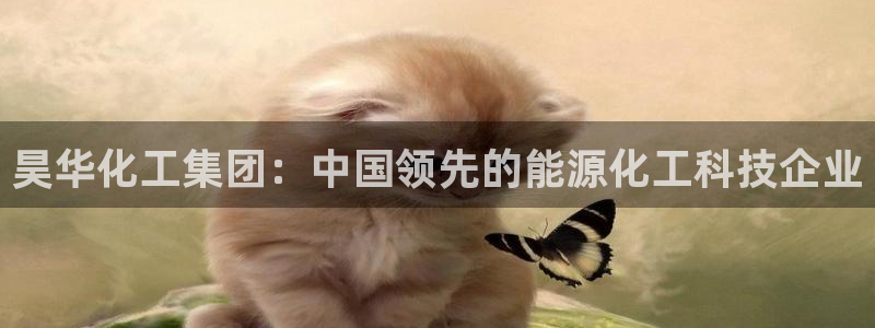 球盟会电子好下吗：昊华化工集团：中国领先