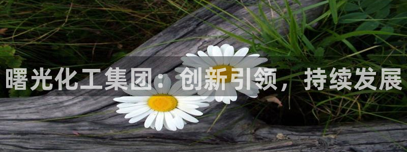 球盟会平台会黑单吗：曙光化工集团：创新引