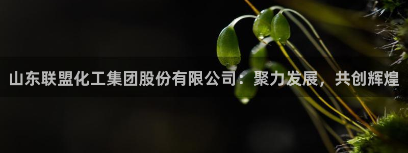 球盟会唯一：山东联盟化工集团股份有限公司：聚力发展，共创辉煌