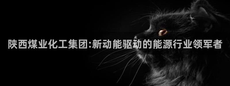 球盟会网页登录入口：陕西煤业化工集团:新动能驱动的能源行业领