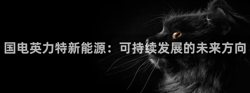 球盟会黑款吗知乎小说：国电英力特新能源：可持续发展的未来方向