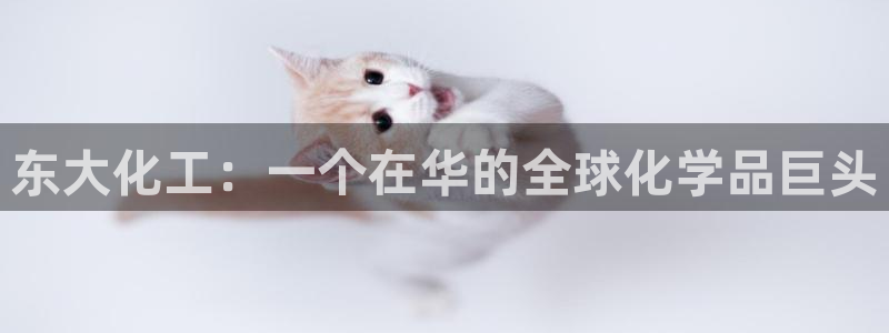 球盟会可以提现么现在：东大化工：一个在华的全球化学品巨头