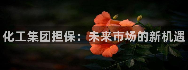 球盟会qmh：化工集团担保：未来市场的新机遇