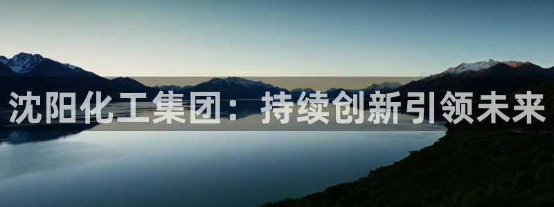球盟会体验金：沈阳化工集团：持续创新引领未来